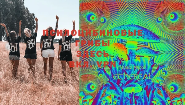 винт Алзамай