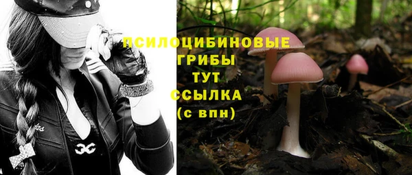 винт Алзамай